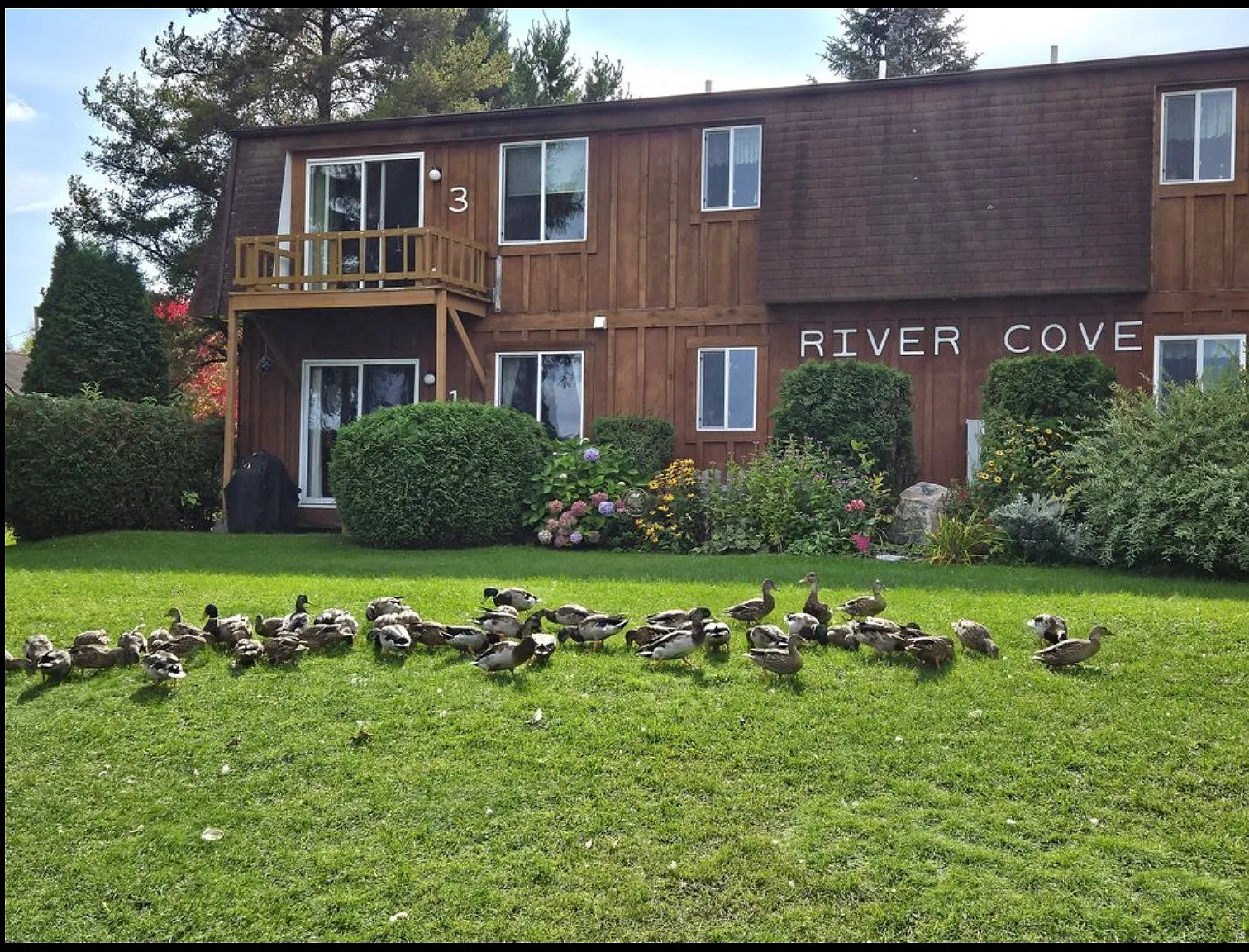 2 bed, 900 sqft, $1,700 — Photo 3