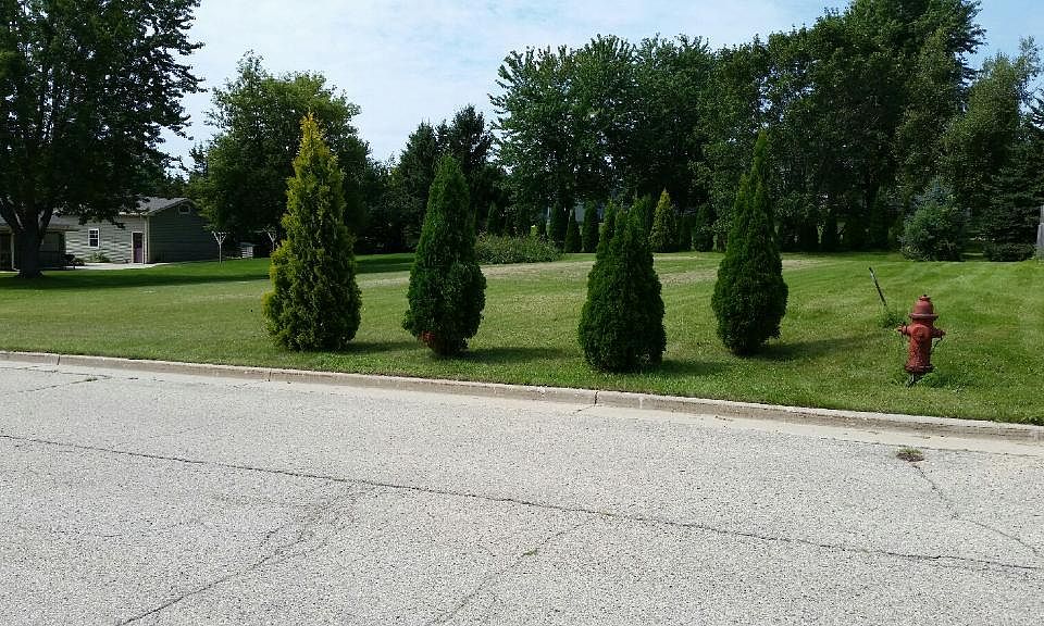 2nd image of 101 Fence Line Ave
