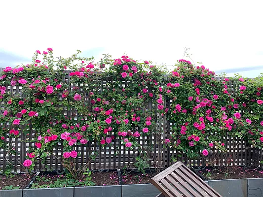 Sold by Compass | media 46