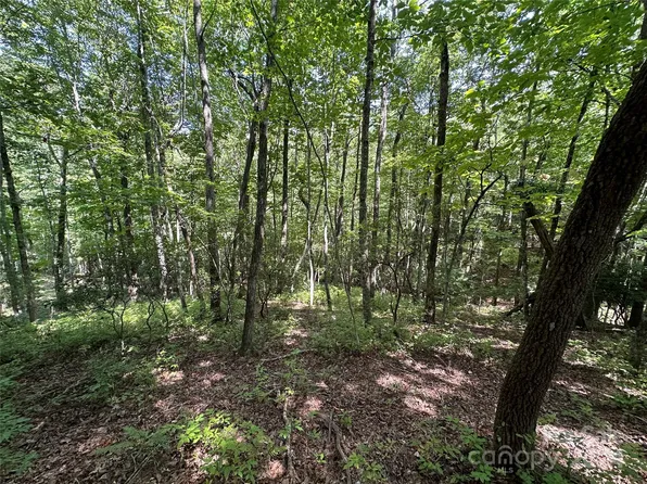 Tbd Isuhdavga Ct, Brevard, NC 28712