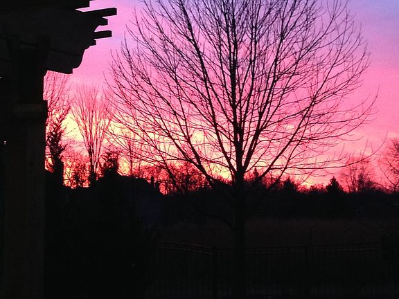 View From Kit Window