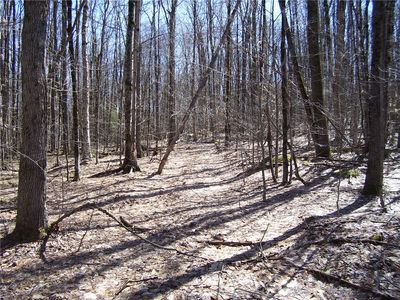 Balsam Tyler Rd #3, Mc Donough, NY, 13801