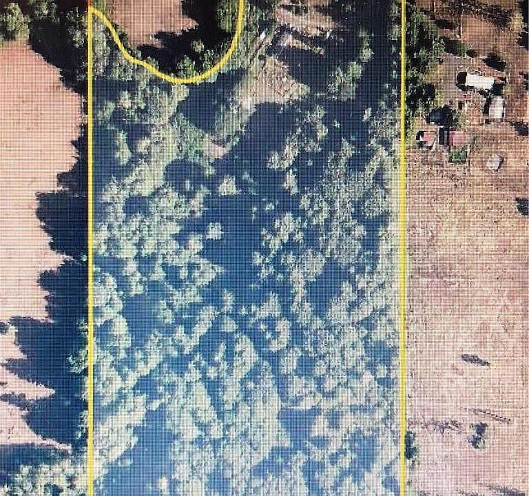 2nd image of 215 Williams Creek Rd