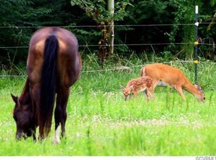 6995 Laurel Spring Rd, Prince George, VA 23875