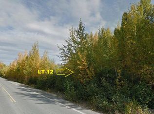 25540 W Long Lake Rd, Willow, AK 99688