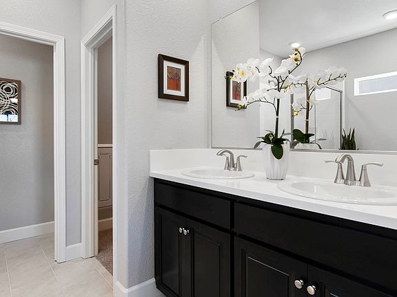 Dual owner s sink