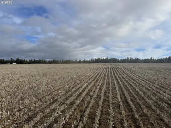 Nka Two Mountainview Rd #1, Goldendale, WA 98620