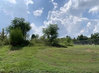 Lot 1 Murphy Street, Midville, GA 30441