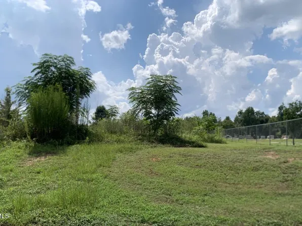 Lot 1 Murphy Street, Midville, GA 30441