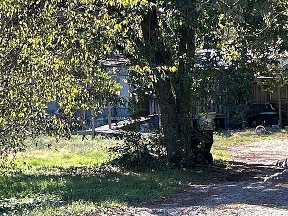 4th image of 8117 Camelia Dr