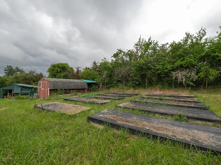 Garden Beds & Shed