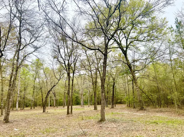 0 Macon Ln, Walterboro, SC 29488