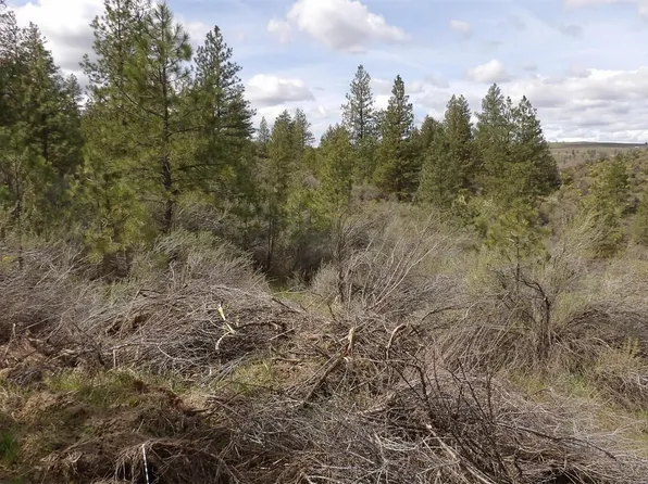 3 Pine Meadow Drive N, Davenport, WA 99122