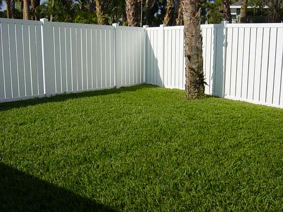 Fenced Back Yard