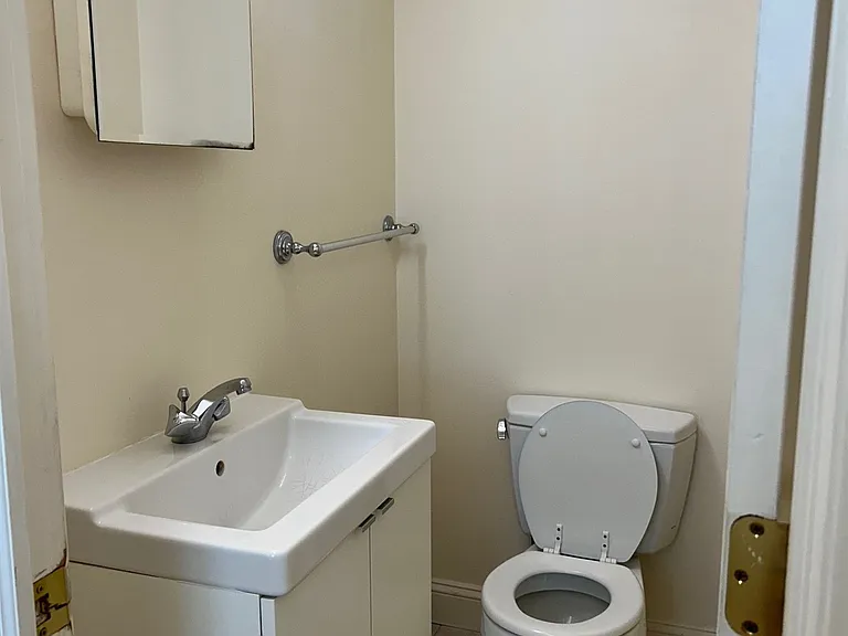 223 Albion St #1 — Photo 9