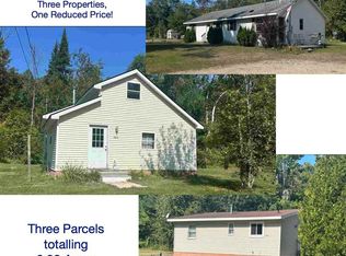 8843/8849/8855 Blumke Rd, Alanson, MI 49706