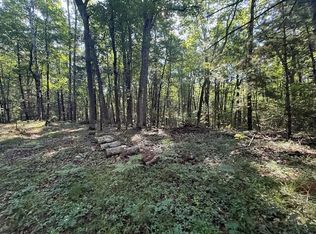 4187 S Forman Rd, Baldwin, MI 49304