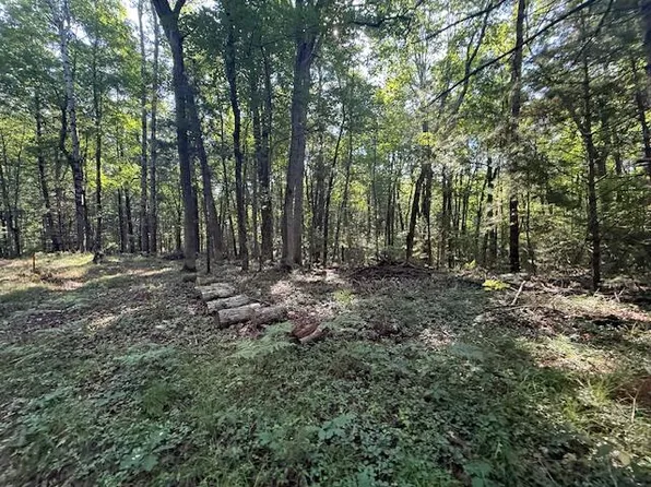 4187 S Forman Rd, Baldwin, MI 49304