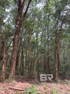 0 Railroad St, Atmore, AL, 36502