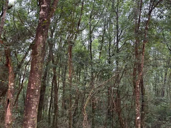 0 Railroad St, Atmore, AL 36502