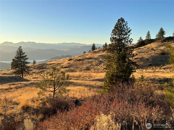 0 Lot 41 Homestead Spur Road, Oroville, WA 98844