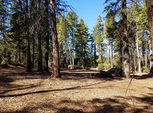 6995 Wilson Hill Rd, Shingletown, CA 96088