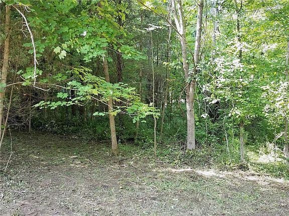 3rd image of 133 Jefferson Valley