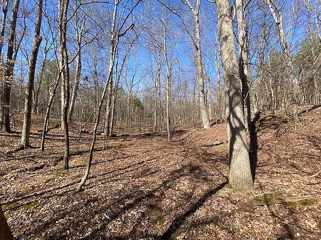 1st image of 0 Branch Rd