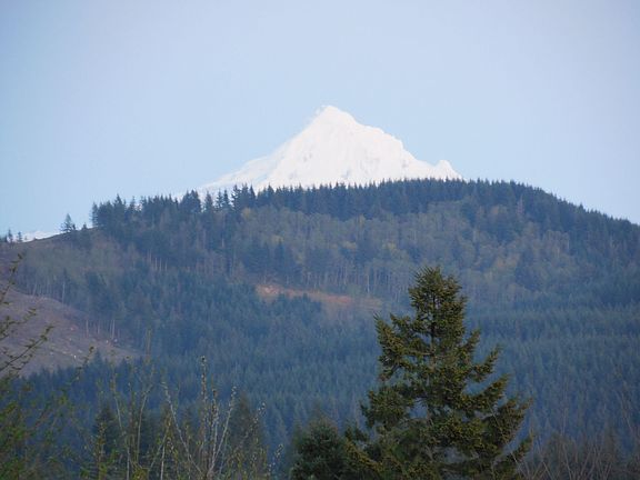 Mt Hood