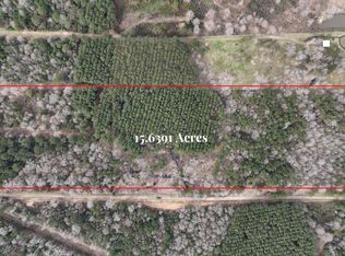 0 County Line Rd, Shepherd, TX 77371