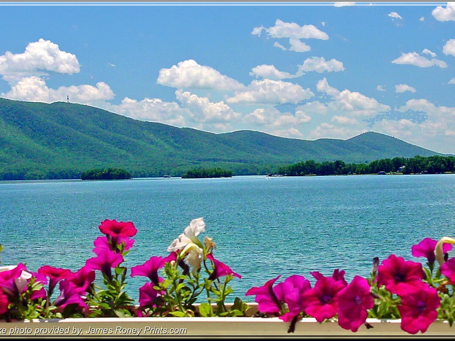 233 Valley Mill Rd, Huddleston, VA 24104 Zillow