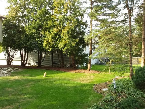 3 Partial backyard