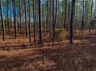 155 Gopher Ridge Rd #44, Hawthorne, FL 32640