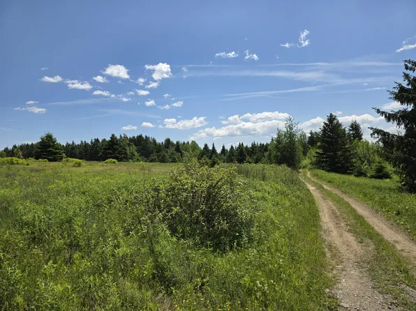 Lots 5B-5C Hersom Road, Easton, ME 04740