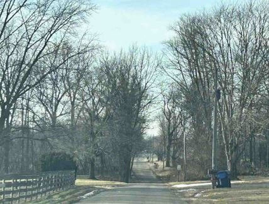 Exterior Neighborhood (street photo)