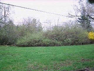 2nd image of 1921 Cranbrook Rd