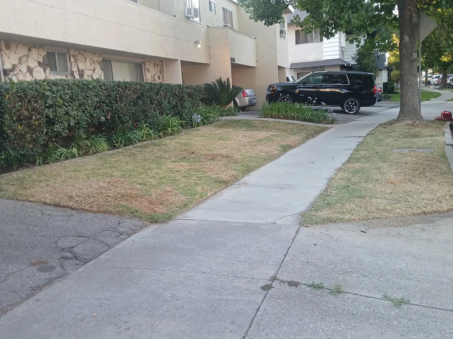 1 bed, 650 sqft, $1,795 — Photo 2