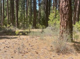 709 Redtail Loop Rd, Clio, CA 96106