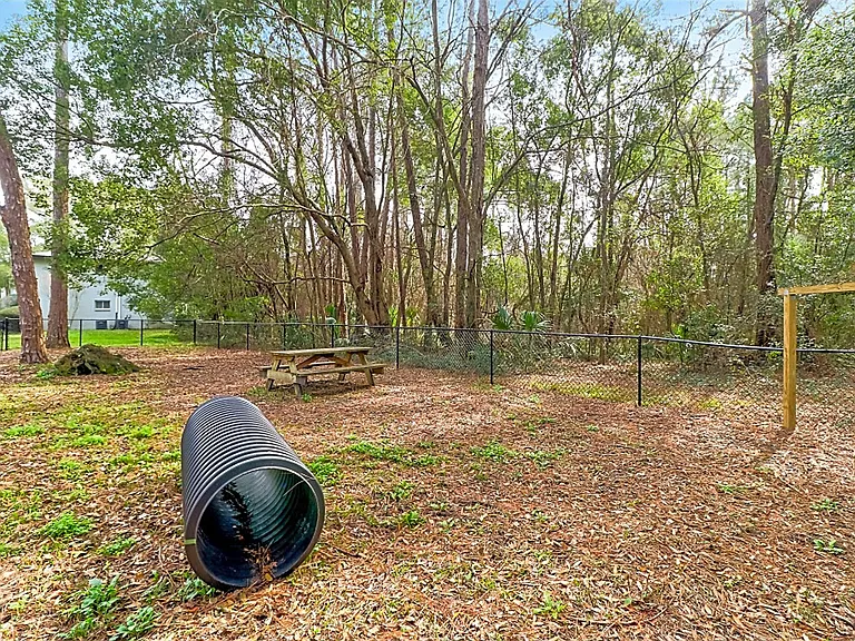 Hammocks off Newberry — Photo 69