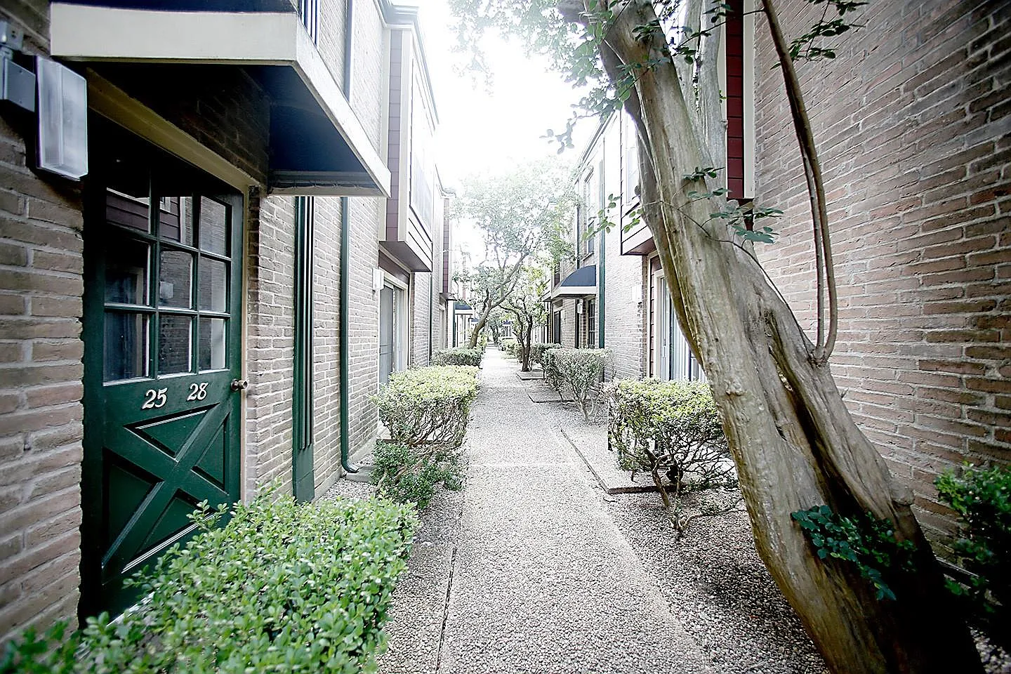 1 bed, 1.0 bath, $1,050 — Photo 1