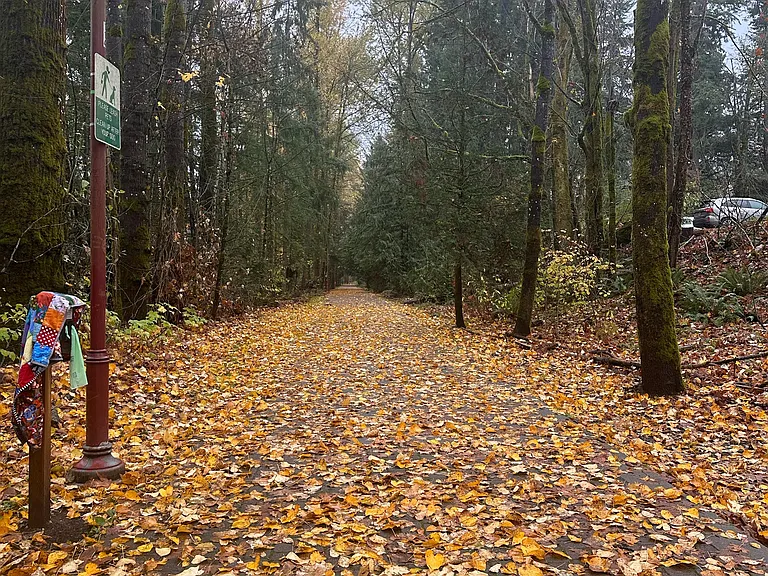 206 Mountain Park Blvd SW #D201 — Photo 52