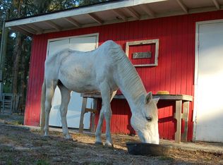 25167 Camp Castle Rd, Brooksville, FL 34601