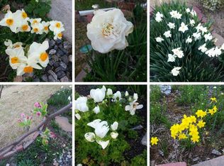 4035 Arch Pass, Cumming, GA 30040