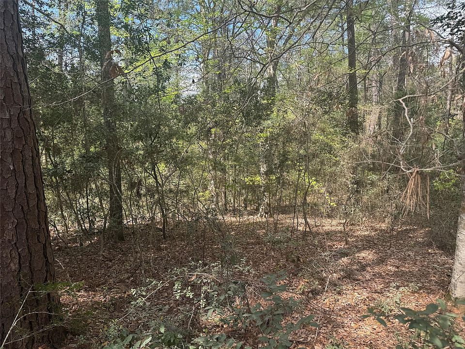 1st image of Big Foot Wallace Trl