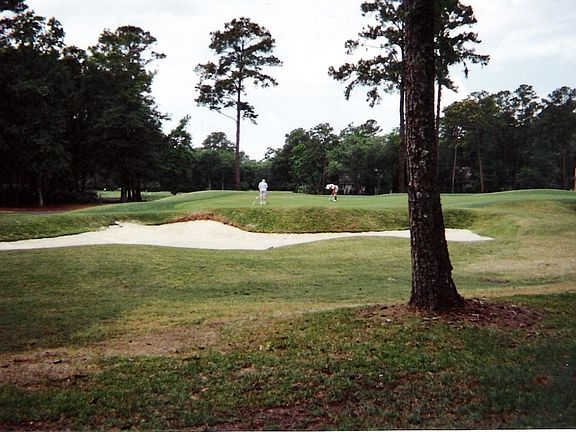 Fourth Green of Palmetto Course - View from rear center of lot