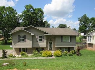 436 Creekside Dr, Mount Carmel, TN 37645