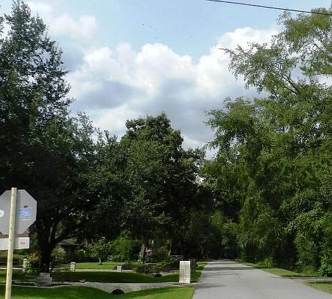 3rd image of 12514 Park Forest Dr