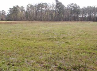 Pleasant Hill Dr, Hemingway, SC 29554