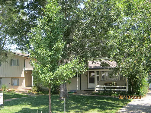 4445 Comanche Dr #3 Photo 1