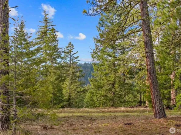 20 Wanawish Loop, Cle Elum, WA 98922